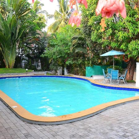 Villa Samaara3 Condolim Goa 500Mts From Beach Candolim Ngoại thất bức ảnh